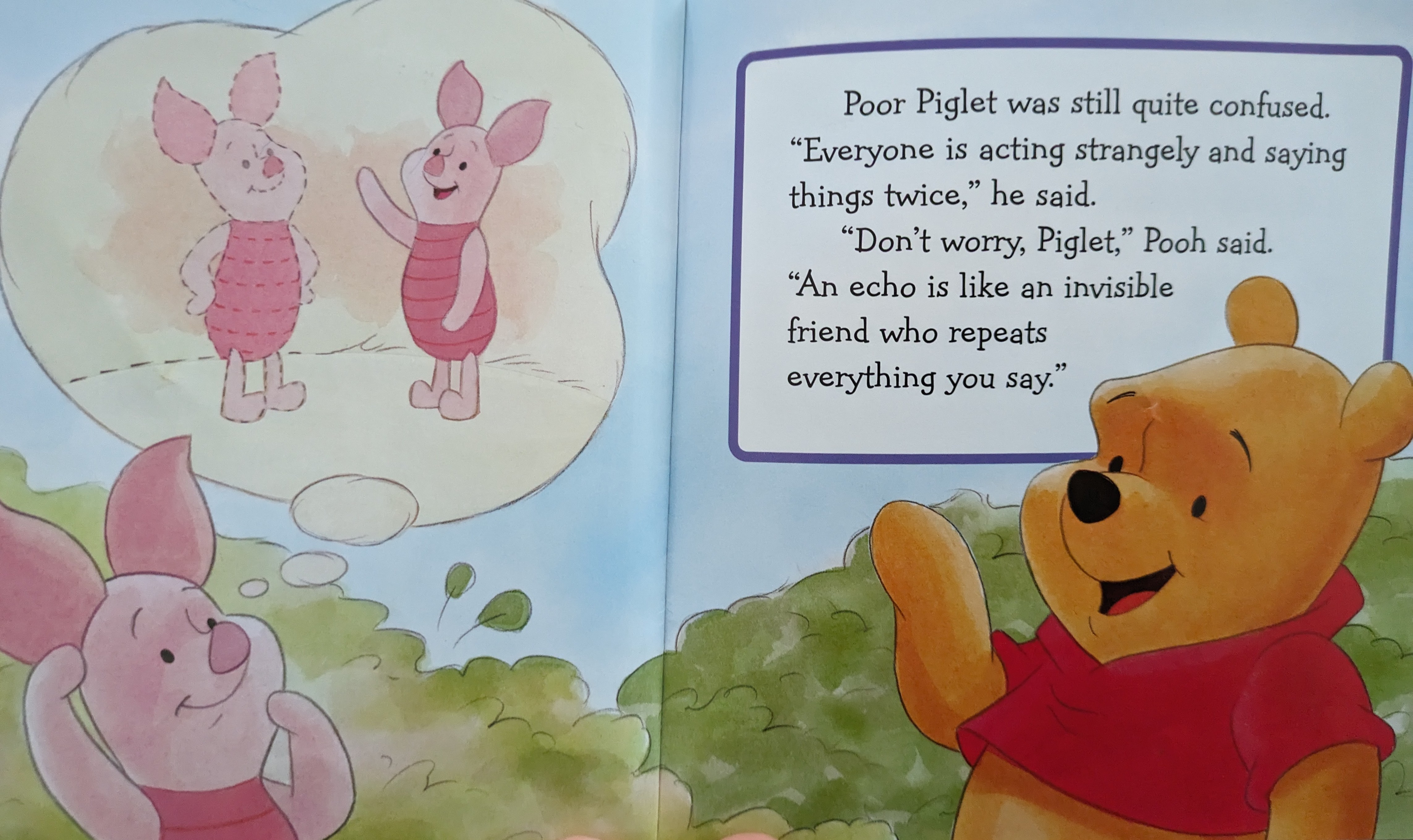 piglet1